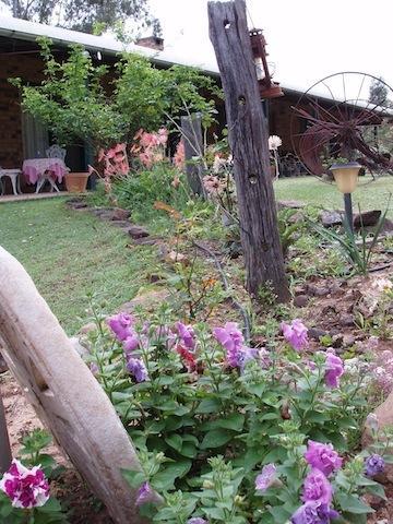 Twilight Grove Farm Bed & Breakfast Esk Bagian luar foto